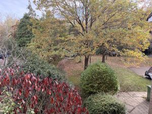 Photo 10- click for photo gallery